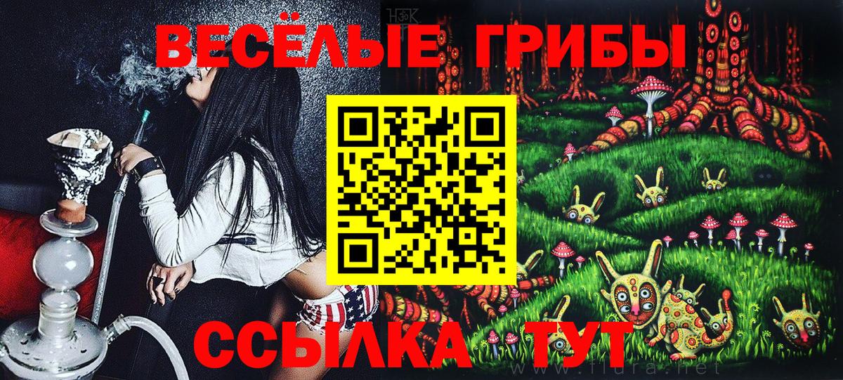 Псилоцибиновые грибы Cubensis  Вход с VPN  Александров 