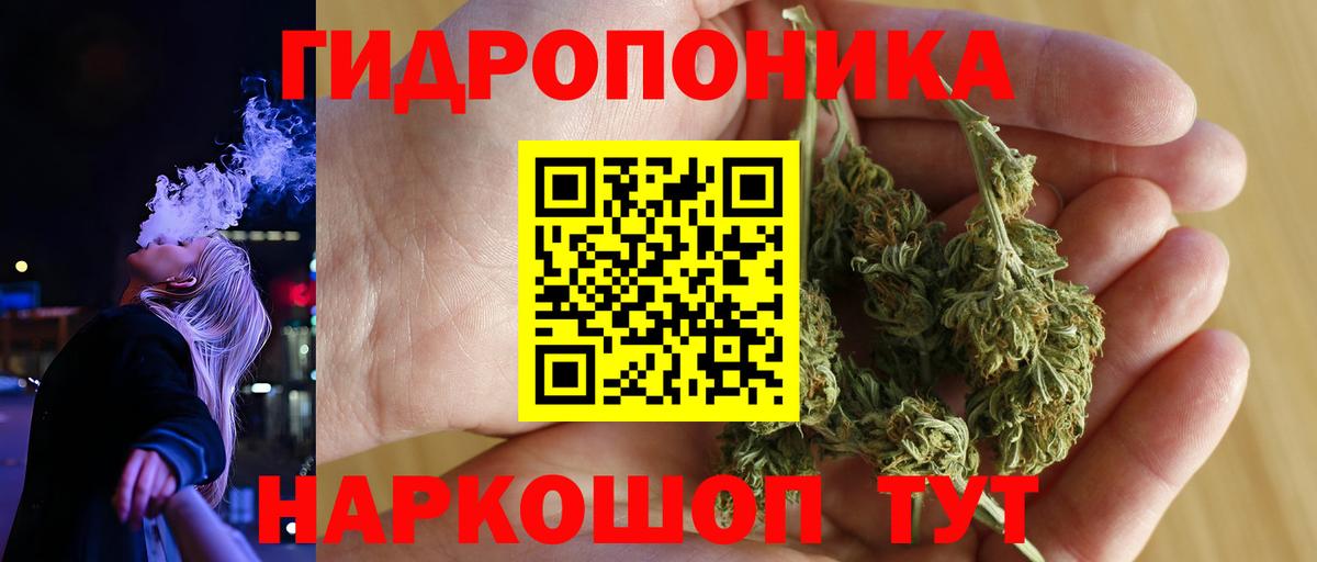 Бошки Шишки тримм  Вход с VPN  Александров  Бошки марихуана LSD WEED  Шишки марихуана White Widow  Марихуана White Widow 
